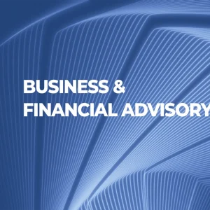 Business & Financial Advisory